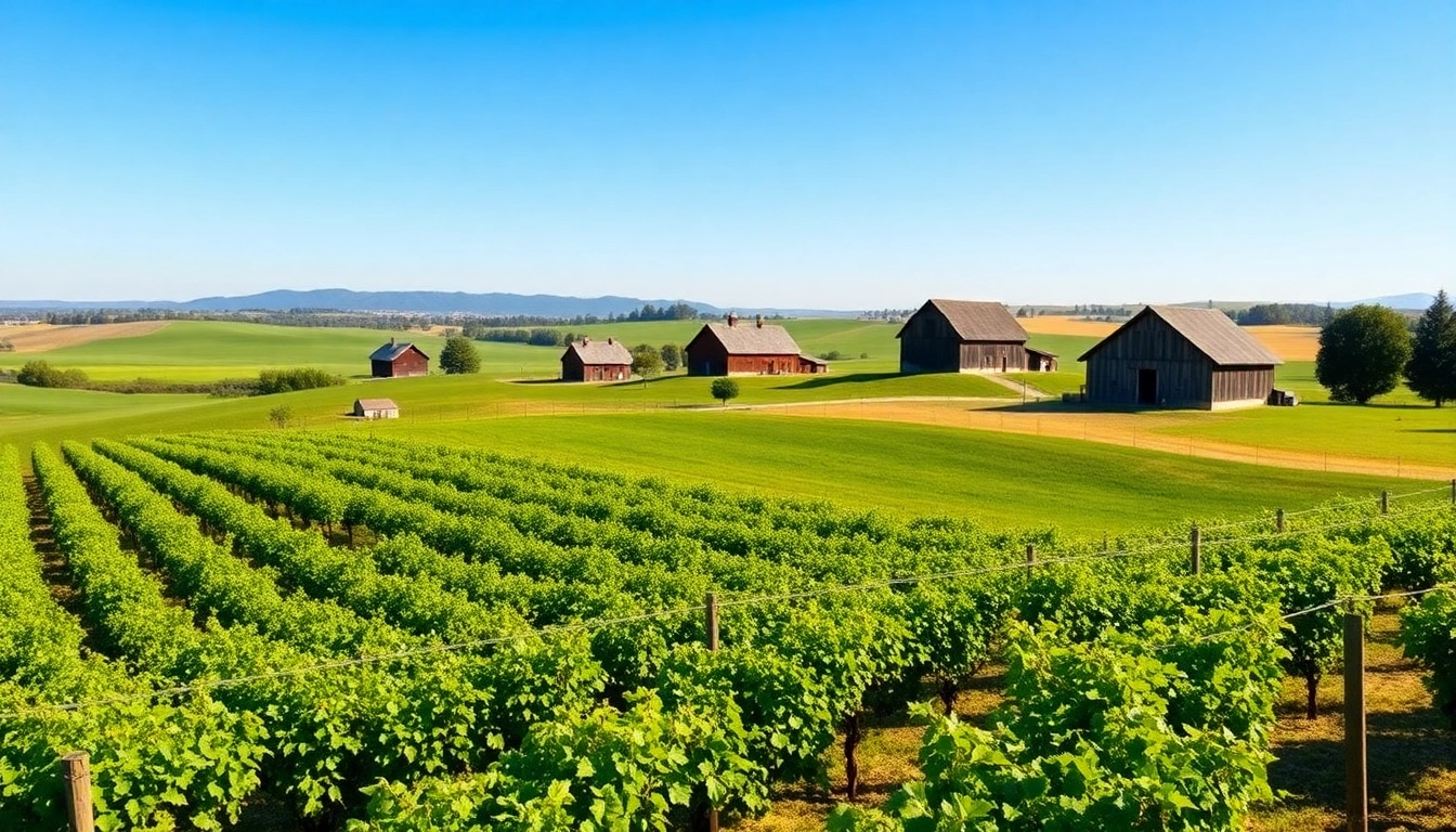 Understanding Where is Clarksburg California: A Hidden Gem in the Delta